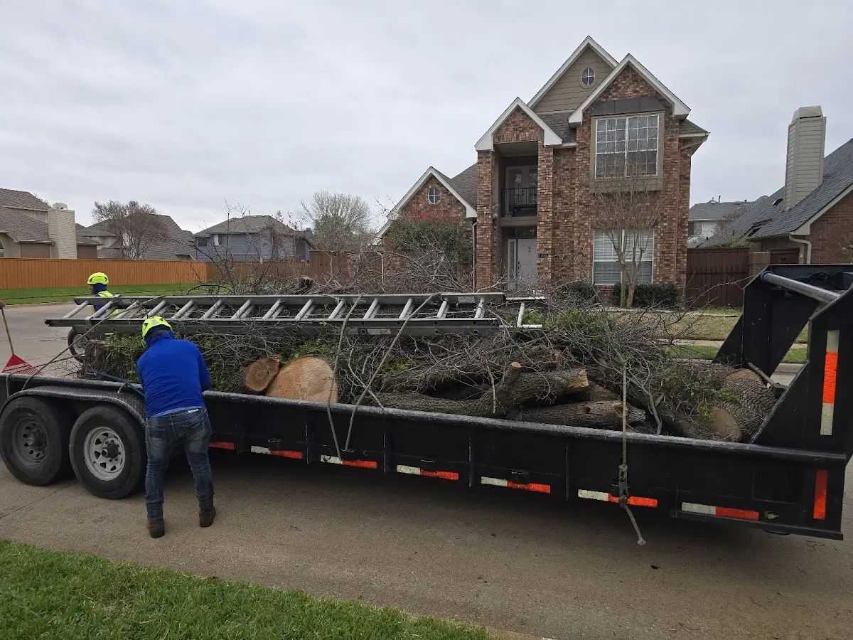Expert Tree Fertilization with proper safety equipment in Dubois